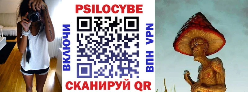 закладки Березники Галлюциногенные грибы Psilocybe