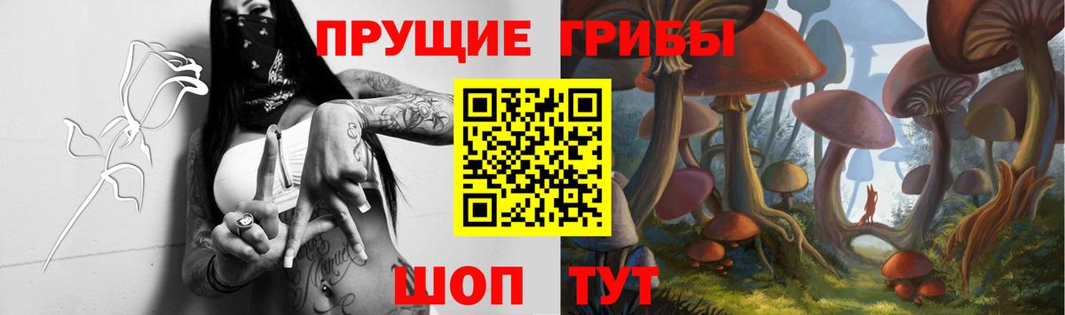 Галлюциногенные грибы MAGIC MUSHROOMS Березники